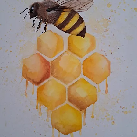 Miodu Mi Daj Casa de Férias