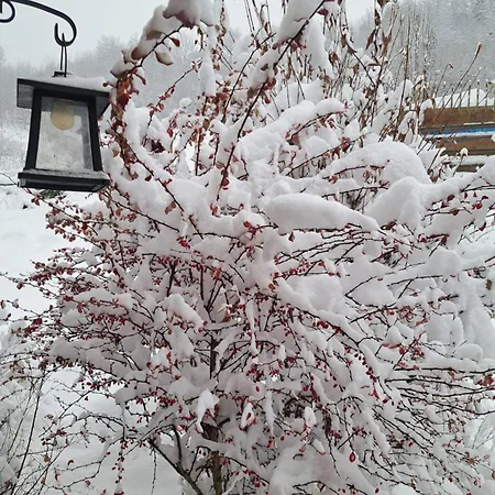 Miodu Mi Daj Casa de Férias