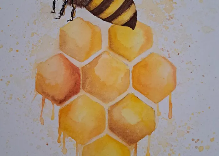 Miodu Mi Daj Casa vacanze